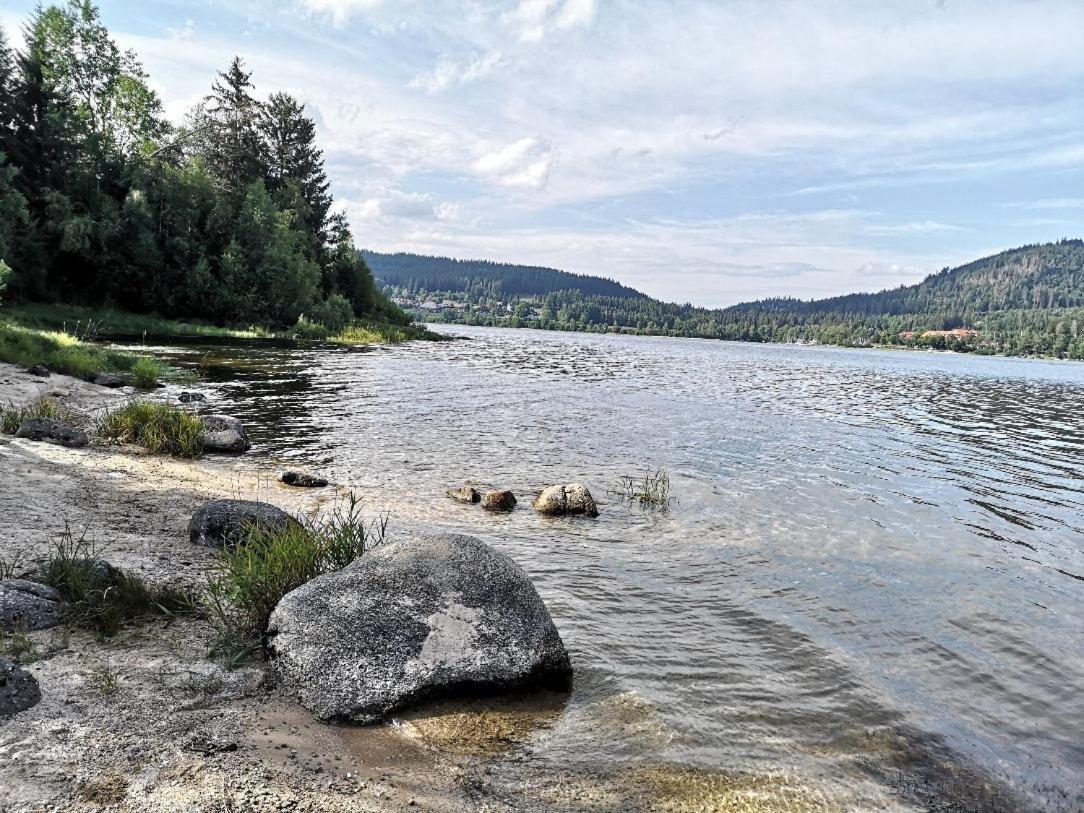 C1 Albmatte-Fewo Sauna, Hallenbad Aussenbecken Massagen Nebenan Menzenschwand Ngoại thất bức ảnh