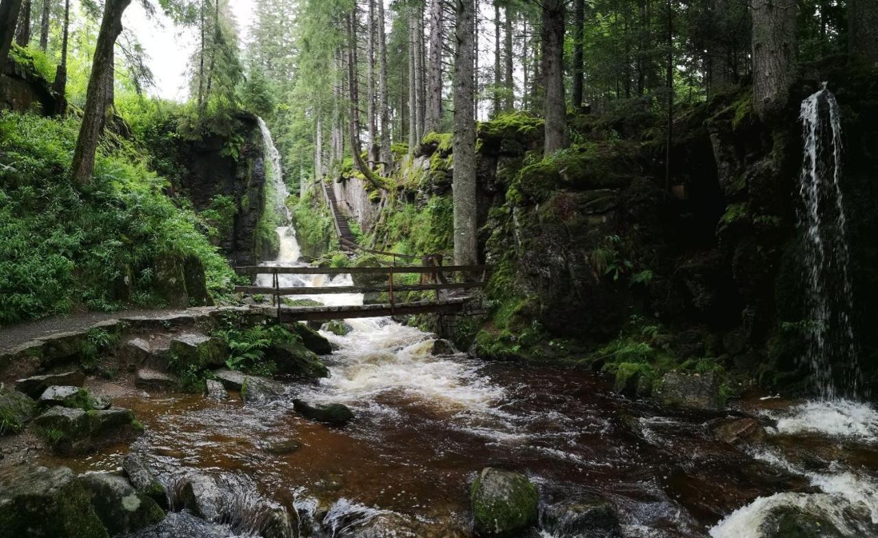 C1 Albmatte-Fewo Sauna, Hallenbad Aussenbecken Massagen Nebenan Menzenschwand Ngoại thất bức ảnh