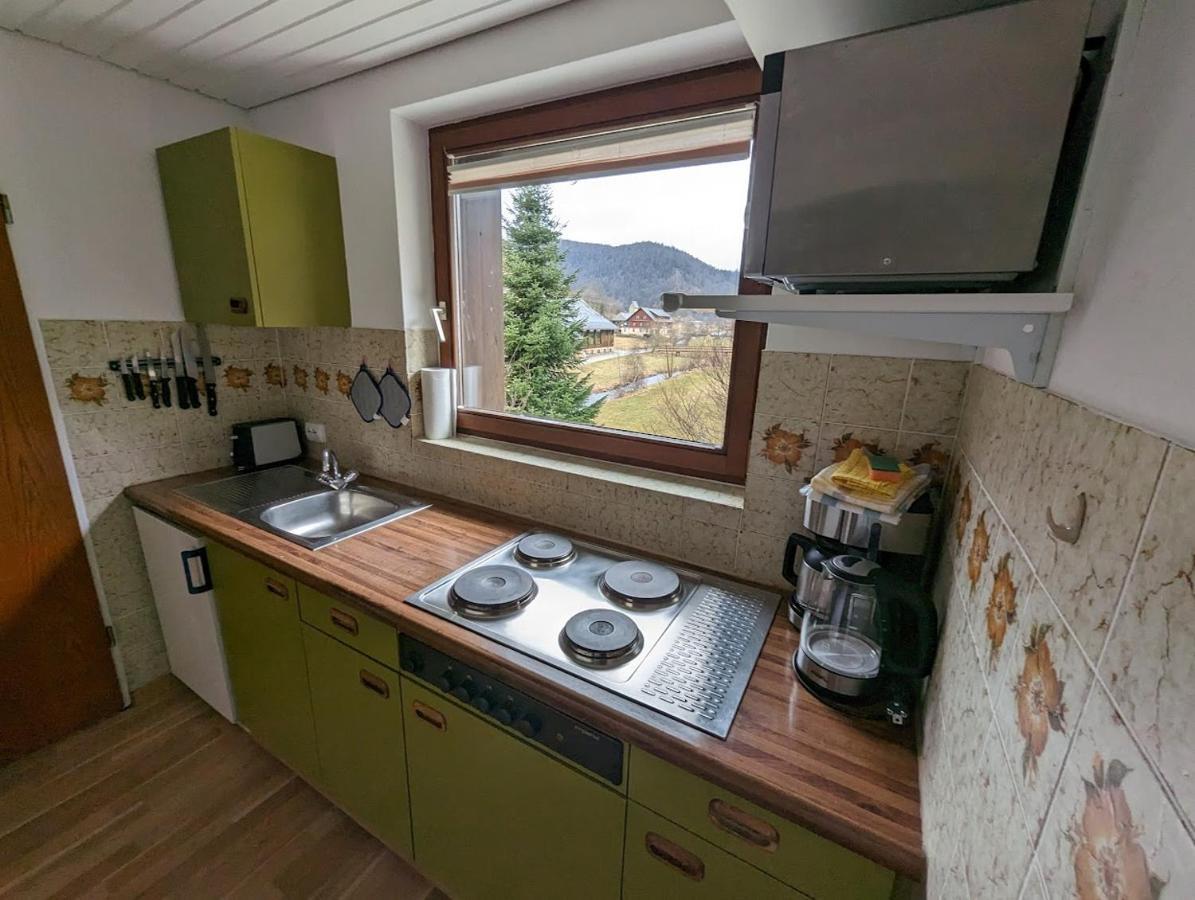 C1 Albmatte-Fewo Sauna, Hallenbad Aussenbecken Massagen Nebenan Menzenschwand Ngoại thất bức ảnh